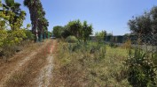 PRÉDIO URBANO COMPOSTO POR RÉS-DO-CHÃO, SÓTÃO, ANEXO E LOGRADOURO