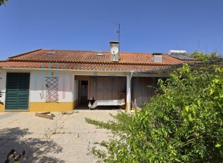20250702-144448.jpg