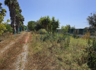 20250702-152209.jpg
