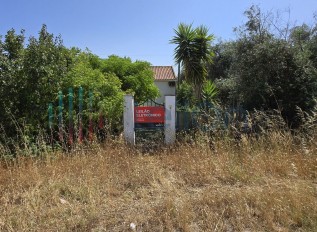20250702-154405.jpg