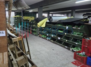 20250321-171016.jpg