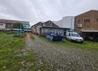 20250321-171413.jpg