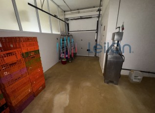 img-0224.jpg