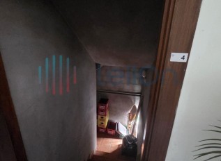20250805-112446.jpg