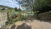LOTE DE BENS IMÓVEIS SITO EM BAFAREIRA, CASTELO DE PAIVA