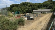 LOTE DE BENS IMÓVEIS SITO EM BAFAREIRA, CASTELO DE PAIVA