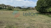 LOTE DE BENS IMÓVEIS SITO EM BAFAREIRA, CASTELO DE PAIVA