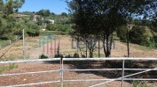 LOTE DE BENS IMÓVEIS SITO EM BAFAREIRA, CASTELO DE PAIVA