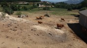 LOTE DE BENS IMÓVEIS SITO EM BAFAREIRA, CASTELO DE PAIVA