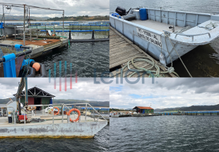 PRÉDIO RÚSTICO SITUADO EM CAUDAUDO COM ÁREA TOTAL DE 11642 M2 | DIVERSO MATERIAL E EQUIPAMENTO PARA PISCICULTURA