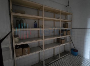 20260223-121305.jpg