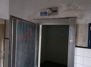 20260223-121321.jpg