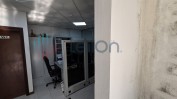 DIVERSO MATERIAL E EQUIPAMENTO PARA CONFECÇÃO DE PEÚGAS | TOTALIDADE 