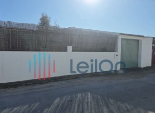 20260106-141545.jpg