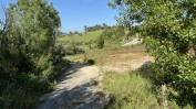 PRÉDIO URBANO - TERRENO DE CONSTRUÇÃO COM 3.000 m2 COPEIRA | CASA DESTINADA A ARRUMAÇÕES, COM ÁREA COBERTA DE 420 M2 E 13.700 M2 DE LOGRADOURO | ½ PRÉDIO URBANO - TERRENO DE CONSTRUÇÃO COM 7.500 m2 - COPEIRA