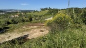 PRÉDIO URBANO - TERRENO DE CONSTRUÇÃO COM 3.000 m2 COPEIRA | CASA DESTINADA A ARRUMAÇÕES, COM ÁREA COBERTA DE 420 M2 E 13.700 M2 DE LOGRADOURO | ½ PRÉDIO URBANO - TERRENO DE CONSTRUÇÃO COM 7.500 m2 - COPEIRA