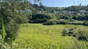 PRÉDIO URBANO - TERRENO DE CONSTRUÇÃO COM 3.000 m2 COPEIRA | CASA DESTINADA A ARRUMAÇÕES, COM ÁREA COBERTA DE 420 M2 E 13.700 M2 DE LOGRADOURO | ½ PRÉDIO URBANO - TERRENO DE CONSTRUÇÃO COM 7.500 m2 - COPEIRA