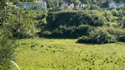 PRÉDIO URBANO - TERRENO DE CONSTRUÇÃO COM 3.000 m2 COPEIRA | CASA DESTINADA A ARRUMAÇÕES, COM ÁREA COBERTA DE 420 M2 E 13.700 M2 DE LOGRADOURO | ½ PRÉDIO URBANO - TERRENO DE CONSTRUÇÃO COM 7.500 m2 - COPEIRA