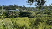 PRÉDIO URBANO - TERRENO DE CONSTRUÇÃO COM 3.000 m2 COPEIRA | CASA DESTINADA A ARRUMAÇÕES, COM ÁREA COBERTA DE 420 M2 E 13.700 M2 DE LOGRADOURO | ½ PRÉDIO URBANO - TERRENO DE CONSTRUÇÃO COM 7.500 m2 - COPEIRA