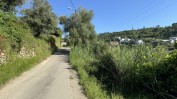 PRÉDIO URBANO - TERRENO DE CONSTRUÇÃO COM 3.000 m2 COPEIRA | CASA DESTINADA A ARRUMAÇÕES, COM ÁREA COBERTA DE 420 M2 E 13.700 M2 DE LOGRADOURO | ½ PRÉDIO URBANO - TERRENO DE CONSTRUÇÃO COM 7.500 m2 - COPEIRA