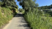 PRÉDIO URBANO - TERRENO DE CONSTRUÇÃO COM 3.000 m2 COPEIRA | CASA DESTINADA A ARRUMAÇÕES, COM ÁREA COBERTA DE 420 M2 E 13.700 M2 DE LOGRADOURO | ½ PRÉDIO URBANO - TERRENO DE CONSTRUÇÃO COM 7.500 m2 - COPEIRA