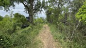 PRÉDIO URBANO - TERRENO DE CONSTRUÇÃO COM 3.000 m2 COPEIRA | CASA DESTINADA A ARRUMAÇÕES, COM ÁREA COBERTA DE 420 M2 E 13.700 M2 DE LOGRADOURO | ½ PRÉDIO URBANO - TERRENO DE CONSTRUÇÃO COM 7.500 m2 - COPEIRA