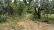 PRÉDIO URBANO - TERRENO DE CONSTRUÇÃO COM 3.000 m2 COPEIRA | CASA DESTINADA A ARRUMAÇÕES, COM ÁREA COBERTA DE 420 M2 E 13.700 M2 DE LOGRADOURO | ½ PRÉDIO URBANO - TERRENO DE CONSTRUÇÃO COM 7.500 m2 - COPEIRA