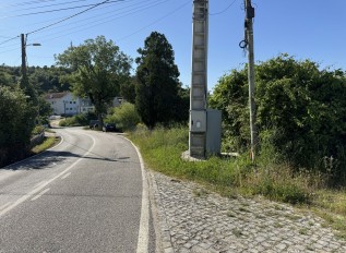 img-4136.JPG