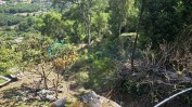 PRÉDIO MISTO SITO EM SANTA COMBA DÃO COM ÁREA TOTAL DE 1.544,80 M2