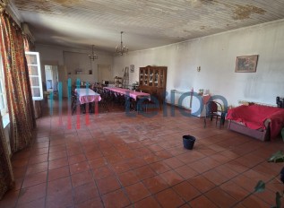 20260518-144324.jpg