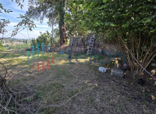 20260518-145749.jpg