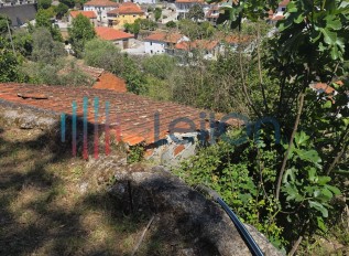 20260518-145819.jpg