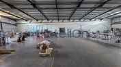 ARMAZÉM DESTINADO A INDÚSTRIA com 15.610 M2 sito em MÓS, BRAGANÇA