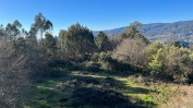 EDIFICIO DESTINADO A CENTRO DE ABATE DE AVES TERRENOS RÚSTICOS - OLIVEIRA DE FRADES, VISEU