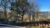 EDIFICIO DESTINADO A CENTRO DE ABATE DE AVES TERRENOS RÚSTICOS - OLIVEIRA DE FRADES, VISEU