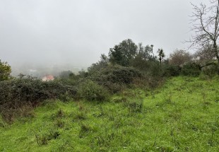 TERRENO DE CULTURA ARVENSE DE REGADIO E VINHA EM RAMADA - RIO FRIO - ARCOS DE VALDEVEZ