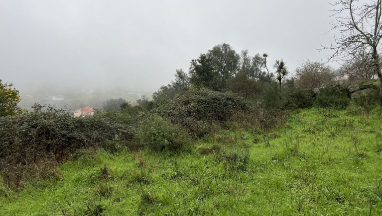 TERRENO DE CULTURA ARVENSE DE REGADIO E VINHA EM RAMADA - RIO FRIO - ARCOS DE VALDEVEZ