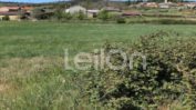 TERRENO RÚSTICO COM 7.700 m2  JUSTES, VILA REAL