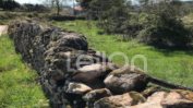 TERRENO RÚSTICO COM 7.700 m2  JUSTES, VILA REAL