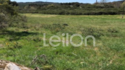 TERRENO RÚSTICO COM 7.700 m2  JUSTES, VILA REAL