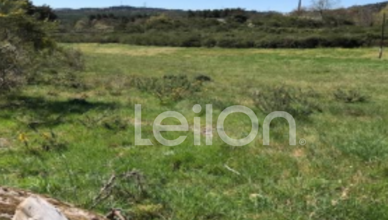 TERRENO RÚSTICO COM 7.700 m2  JUSTES, VILA REAL